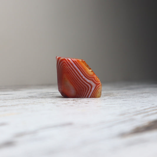 Carnelian Mini Freeform | Motivation, Confidence & Creative Energy