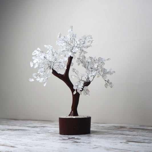 Clear Quartz Large Crystal Tree | Clarity, Amplification & Energy Alignment