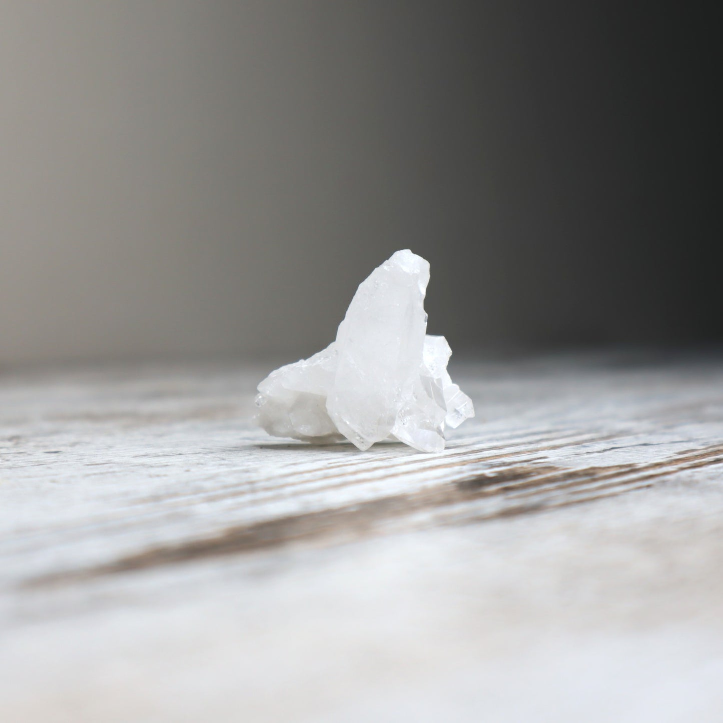 Clear Quartz Mini Cluster | Clarity, Amplification & Alignment