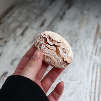 Crazy Lace Agate Druzy Palm Stone | Calm Joy, Balance & Gentle Grounding