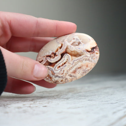 Crazy Lace Agate Druzy Palm Stone | Calm Joy, Balance & Gentle Grounding