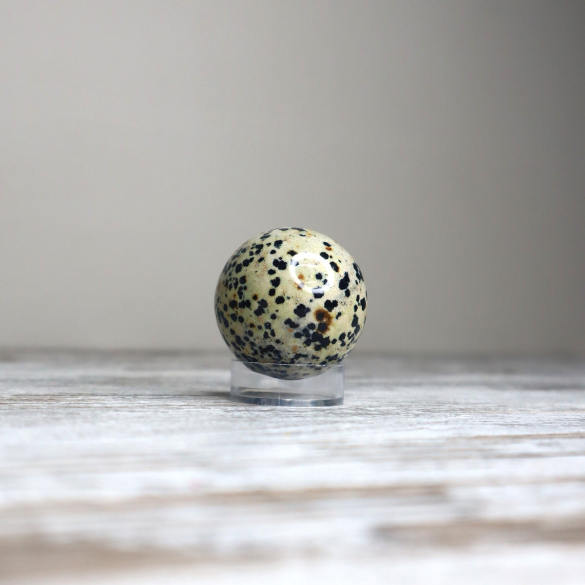 Dalmatian Jasper Sphere | Joy, Grounding &amp; Playful Protection