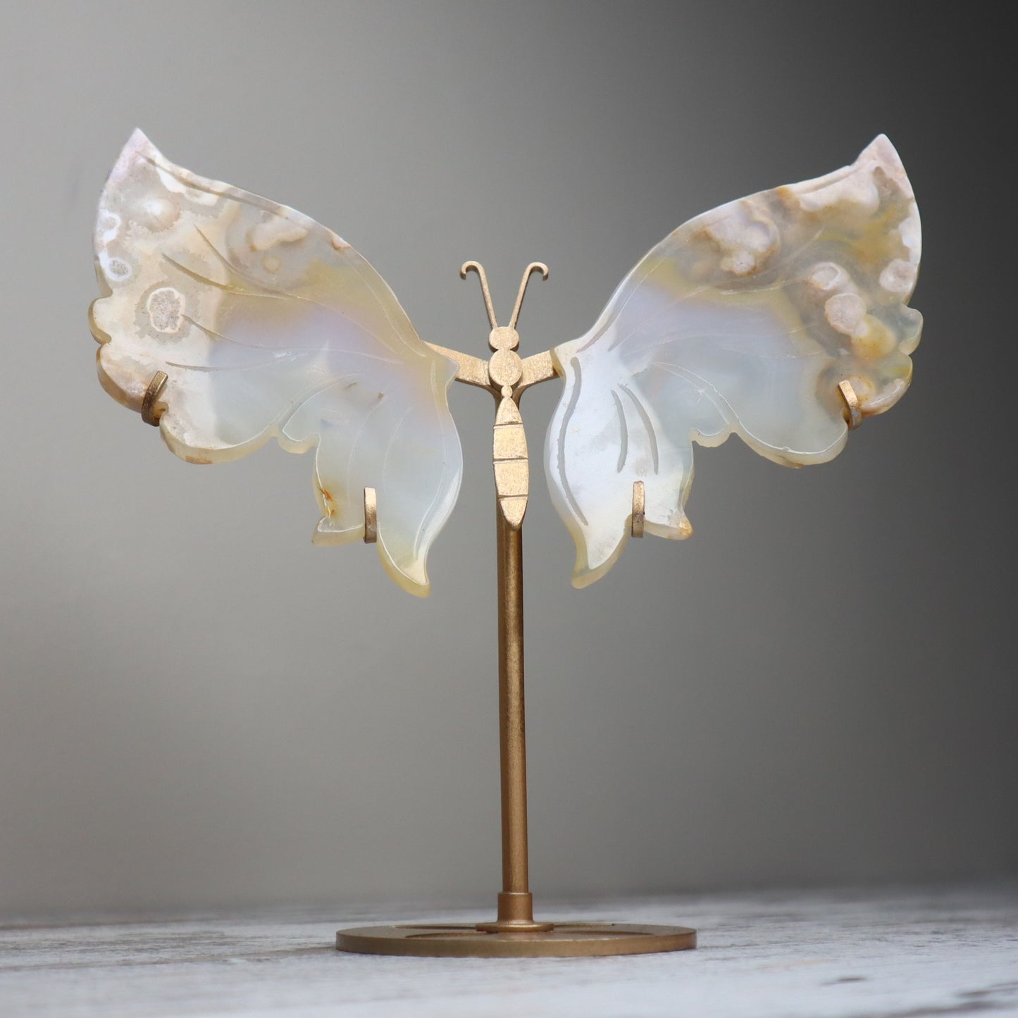 Flower Agate Butterfly Wings on Stand | Growth, Renewal & Soft Strength