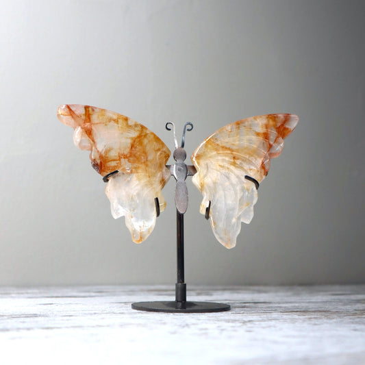 Golden Healer Butterfly on Stand | Healing, Vitality & Divine Light