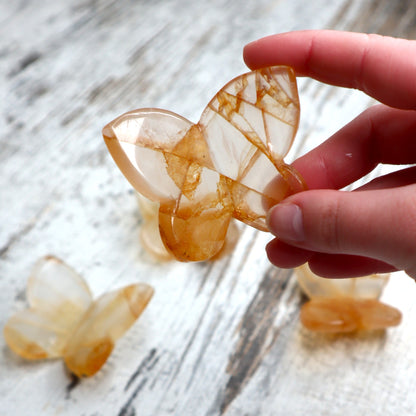 Golden Healer 3D Butterfly | Intuitively Chosen | Joy, Renewal & Inner Light