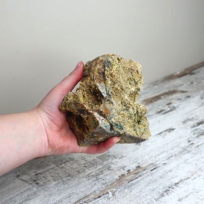 Ocean Jasper Freeform | Deep Renewal, Emotional Flow & Earth Connection