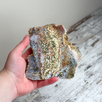Ocean Jasper Freeform | Deep Renewal, Emotional Flow & Earth Connection