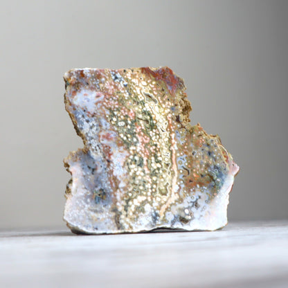 Ocean Jasper Freeform | Deep Renewal, Emotional Flow & Earth Connection
