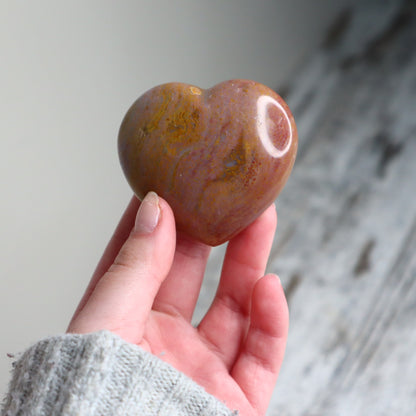 Petrified Wood Heart | Ancient Wisdom, Grounding &amp; Inner Strength