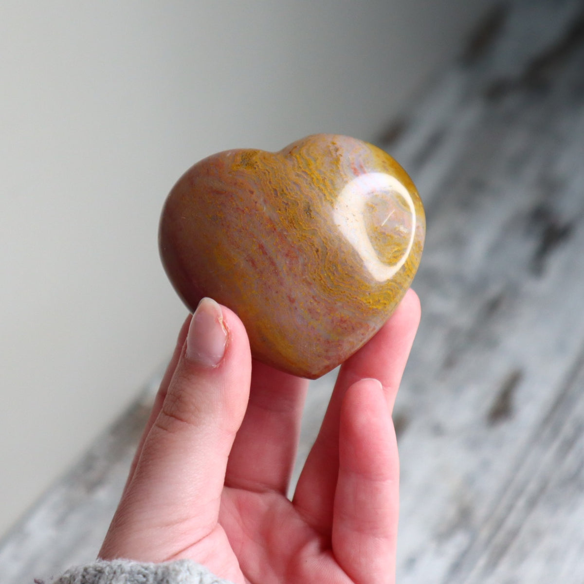 Petrified Wood Heart | Ancient Wisdom, Grounding &amp; Inner Strength