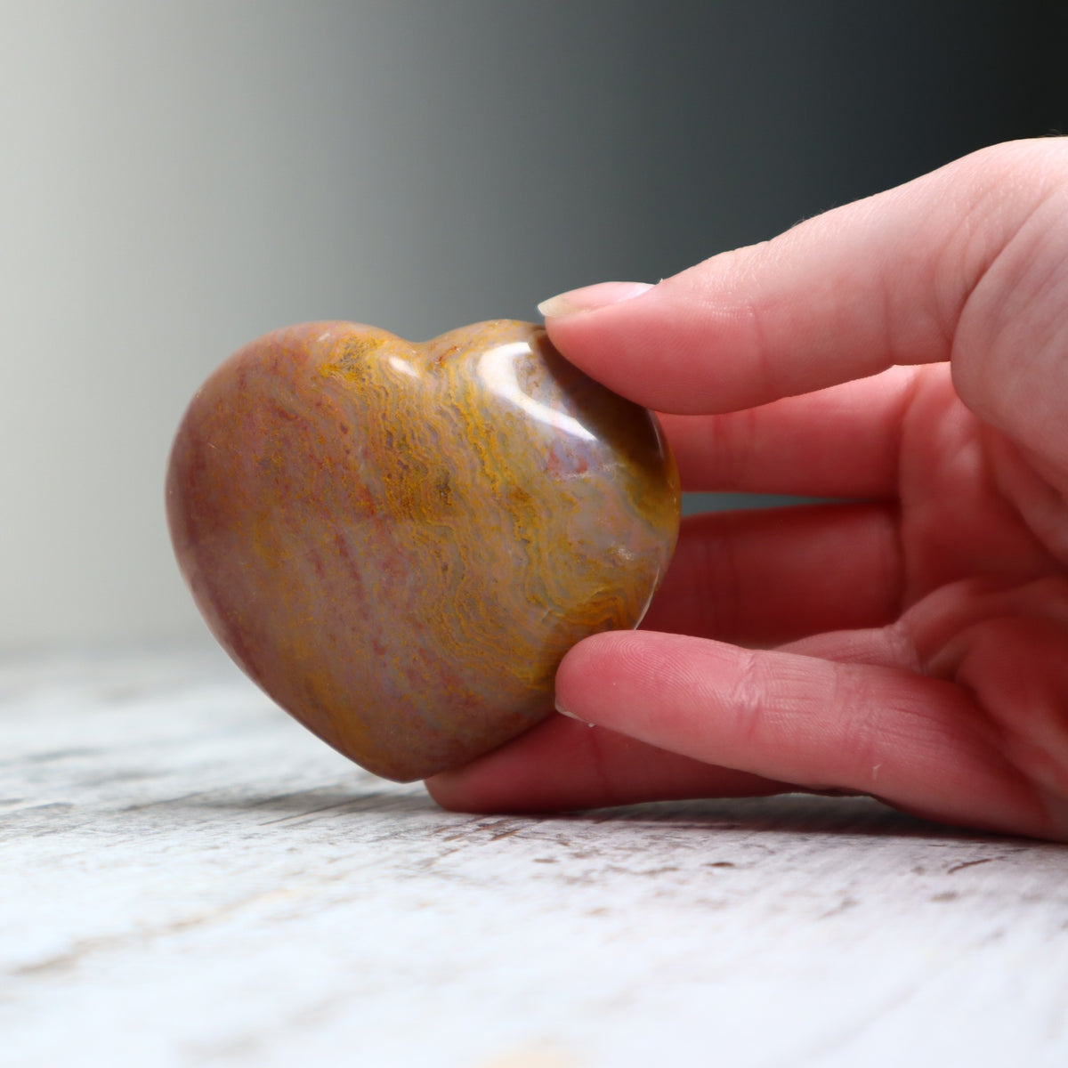 Petrified Wood Heart | Ancient Wisdom, Grounding &amp; Inner Strength