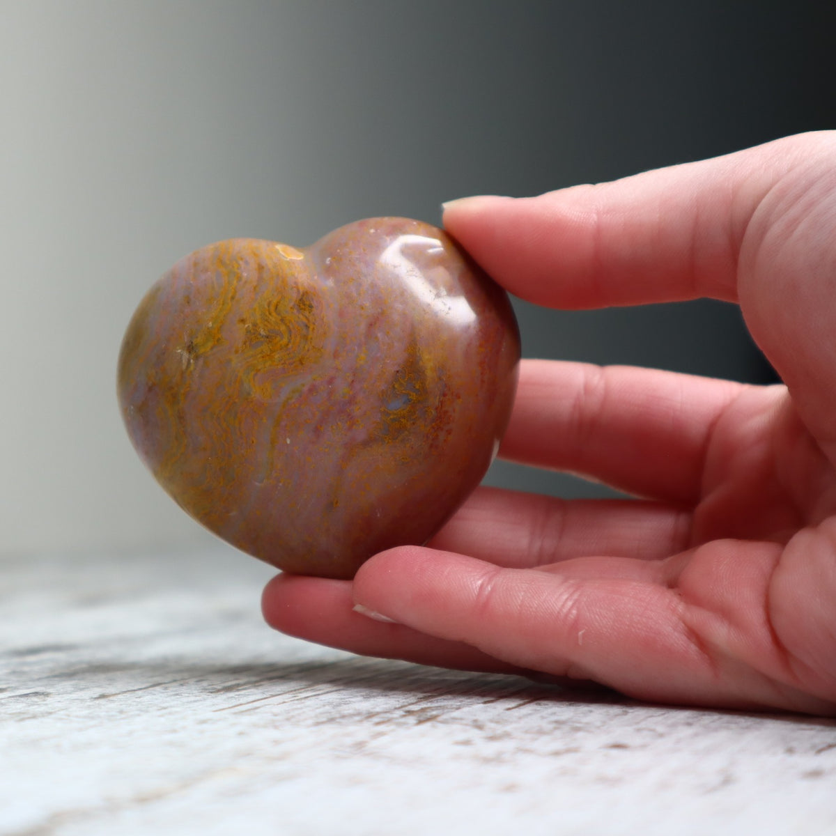 Petrified Wood Heart | Ancient Wisdom, Grounding &amp; Inner Strength