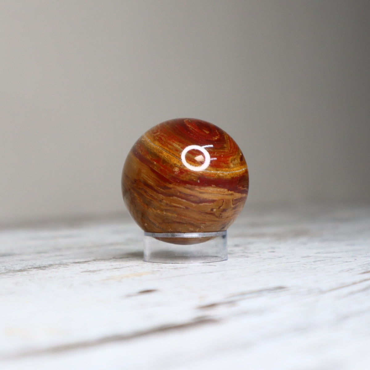 Petrified Wood Sphere | Ancient Wisdom, Stability &amp; Grounding