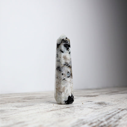 Rainbow Moonstone Mini Point | Intuitively Chosen | Intuition, Balance & New Beginnings