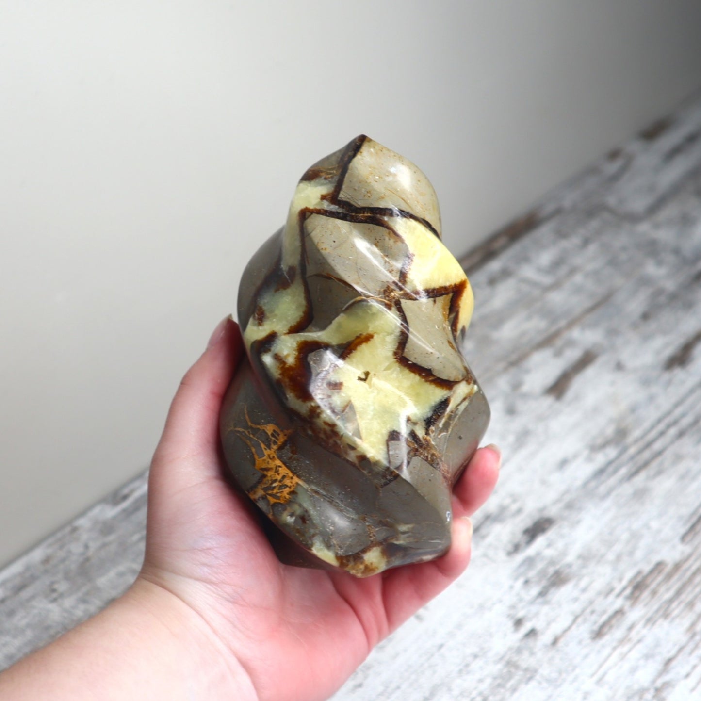 Septarian Flame | Grounded Confidence, Ancient Strength & Inner Voice
