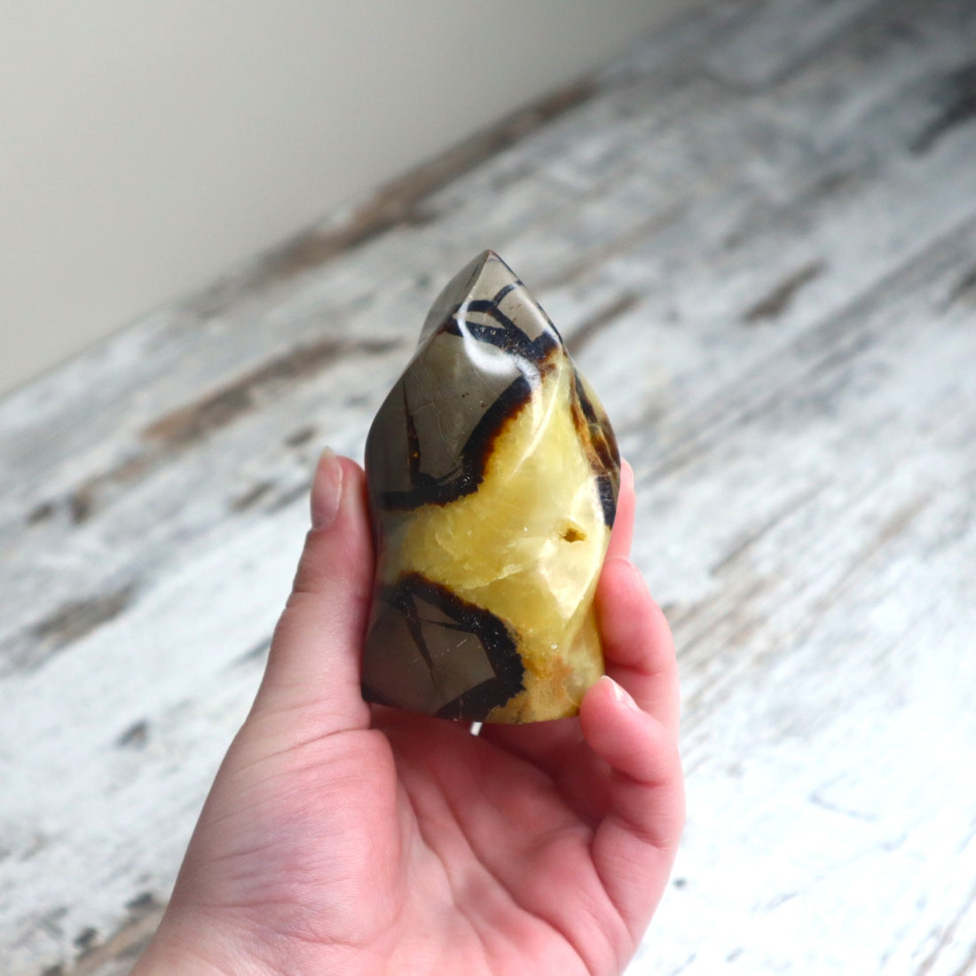 Septarian Flame | Confidence, Grounding &amp; Ancient Wisdom