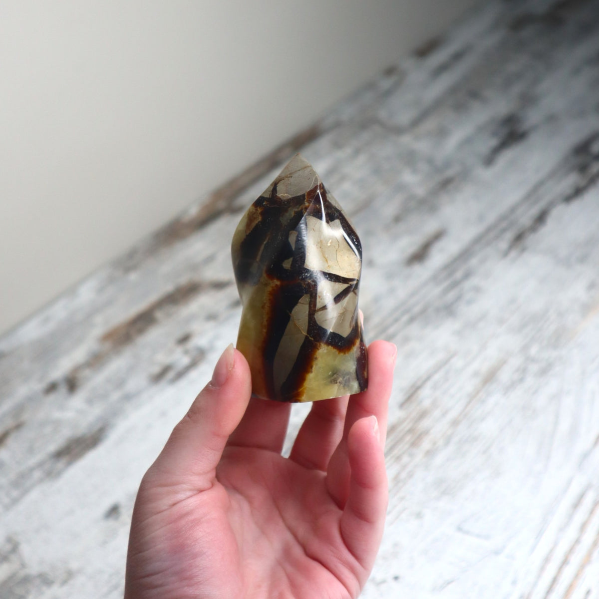 Septarian Flame | Confidence, Grounding &amp; Ancient Wisdom
