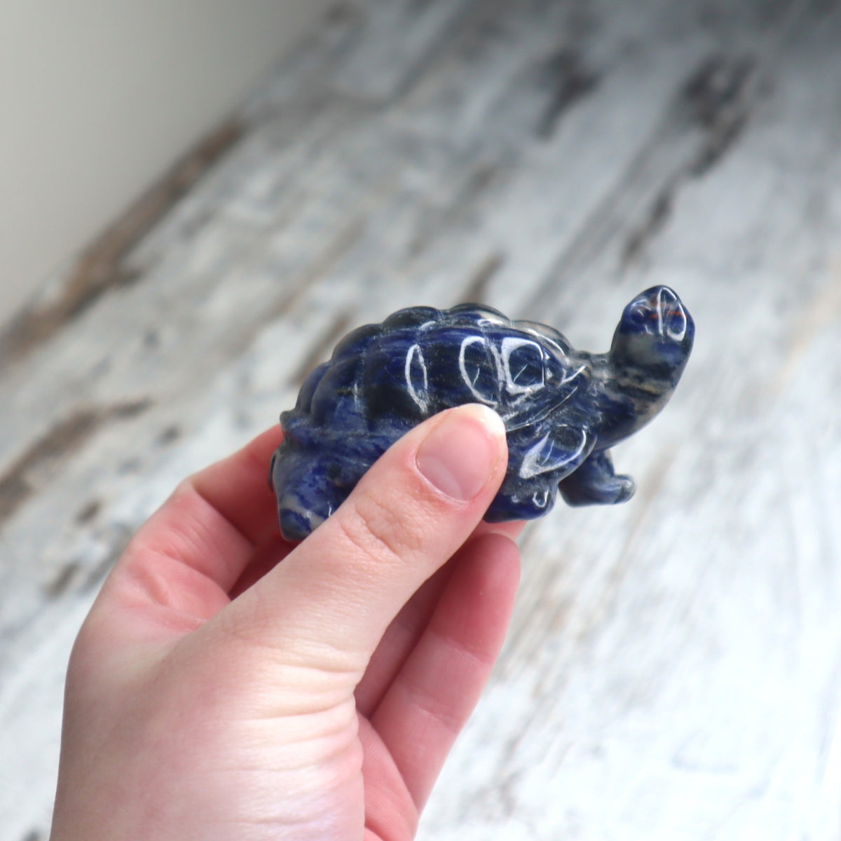 Sodalite Turtle | Wisdom, Stability &amp; Clear Communication