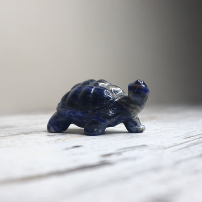 Sodalite Turtle | Wisdom, Stability & Clear Communication