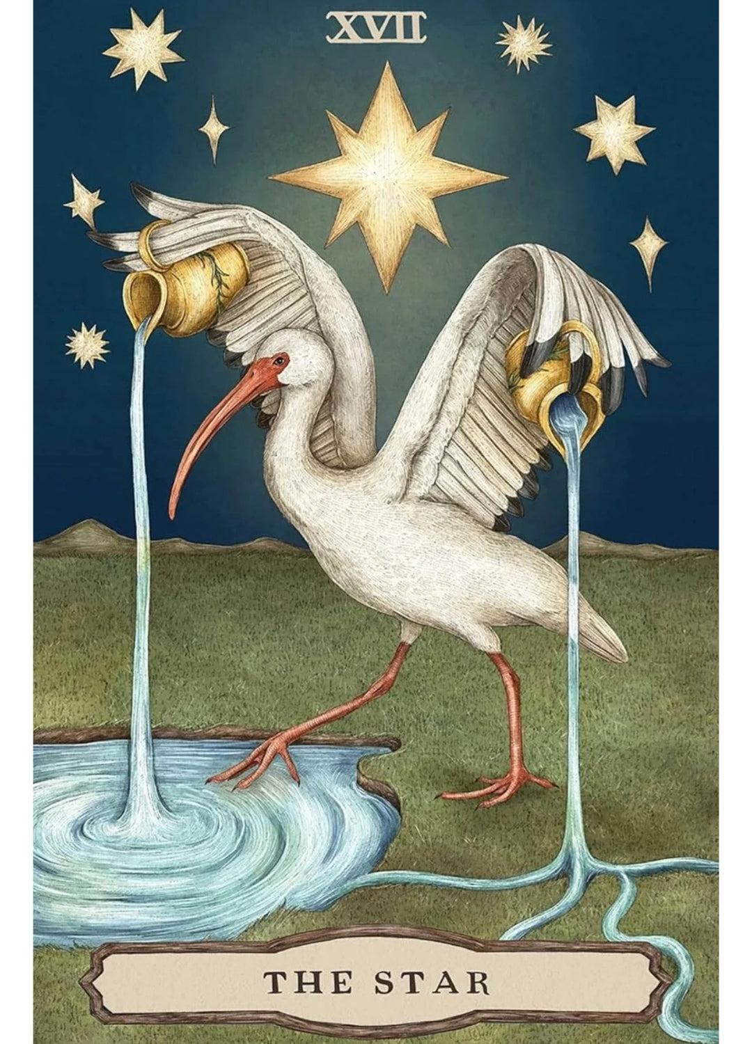 Tarot of the Woodland Wardens | Animal &amp; Botanical Tarot
