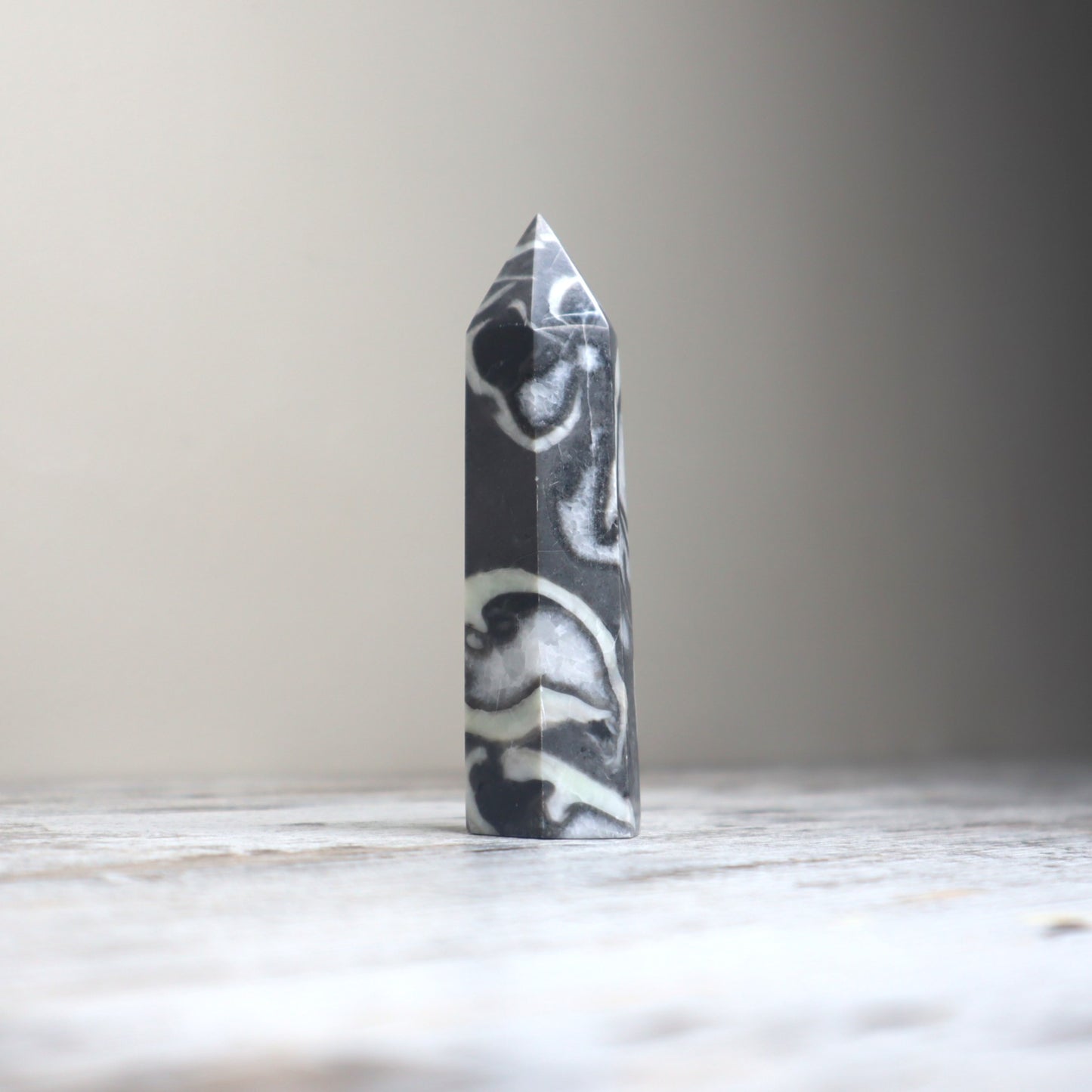 Thousand Eye Jasper Point | Protection, Awareness & Grounded Clarity