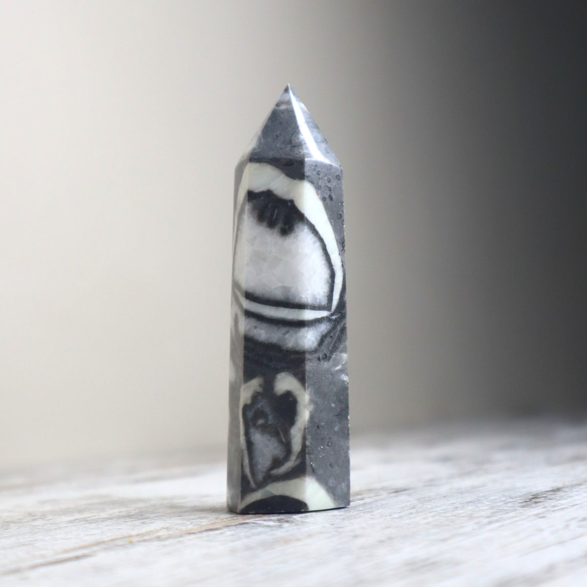Thousand Eye Jasper Point | Protection, Awareness &amp; Grounded Clarity