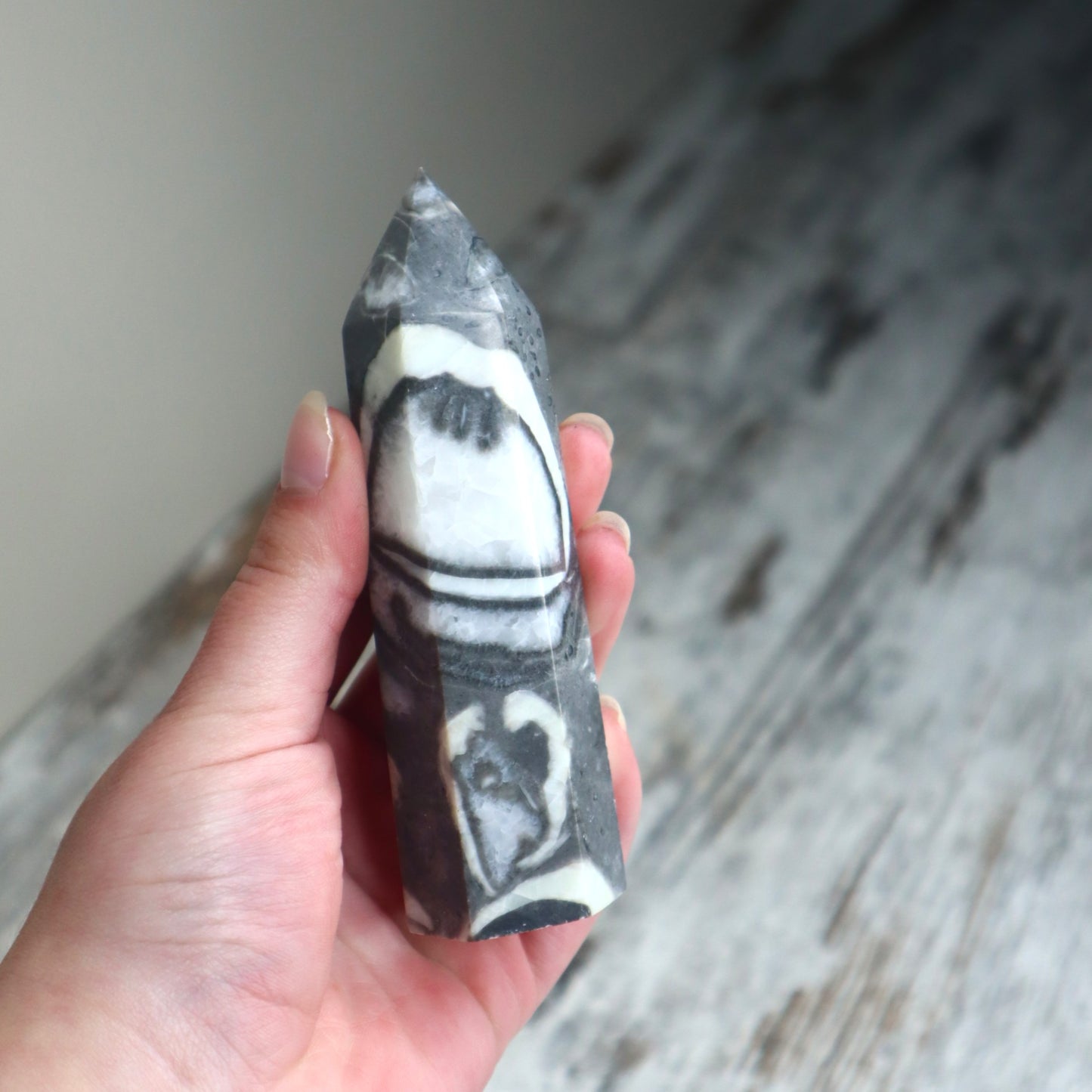 Thousand Eye Jasper Point | Protection, Awareness & Grounded Clarity