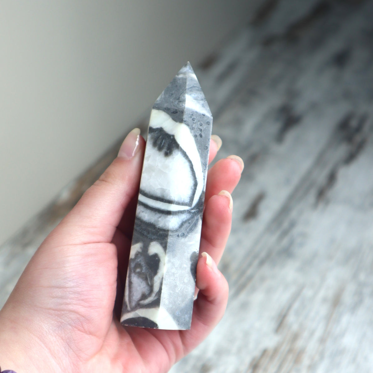 Thousand Eye Jasper Point | Protection, Awareness &amp; Grounded Clarity