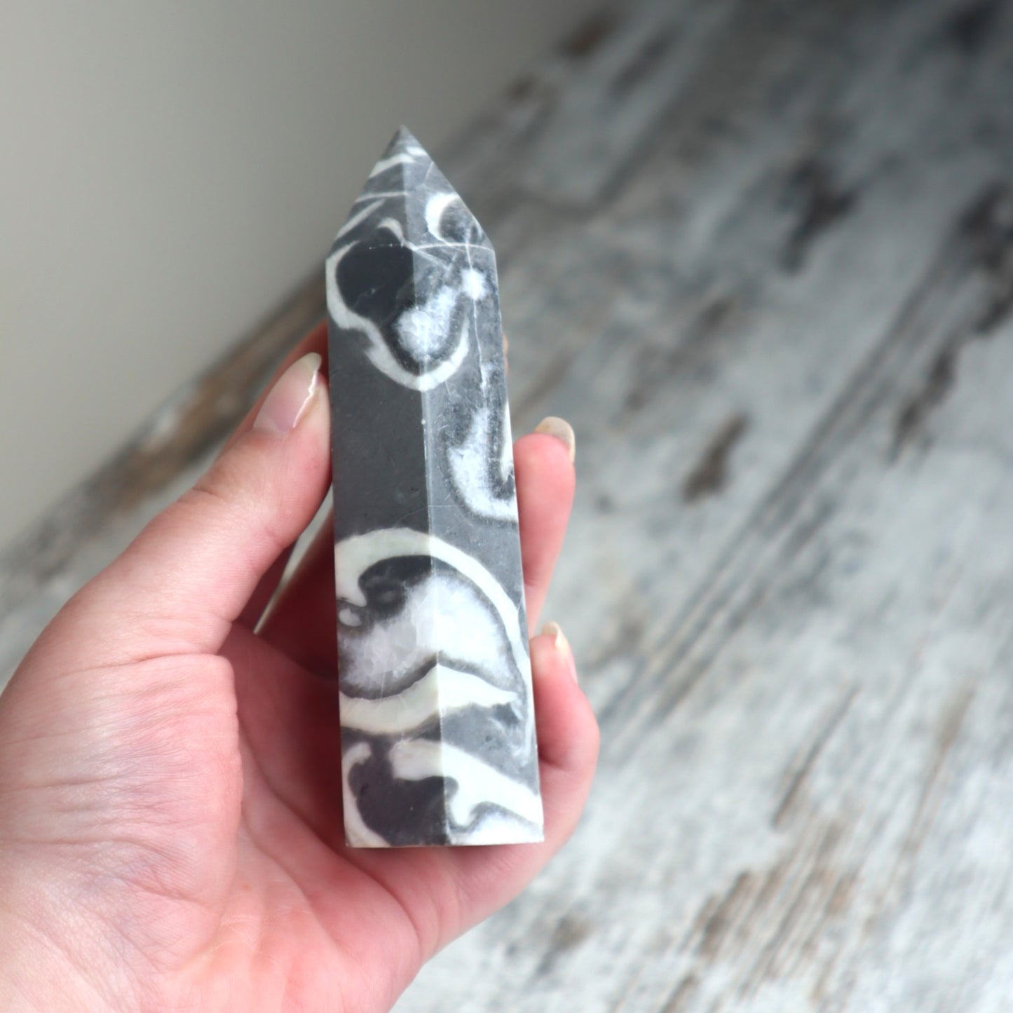 Thousand Eye Jasper Point | Protection, Awareness & Grounded Clarity