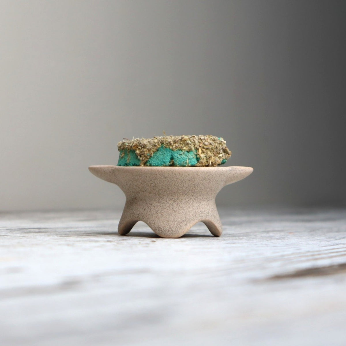 Sagrada Madre White Sage Charcoal Discs | Purification, Protection &amp; Clarity