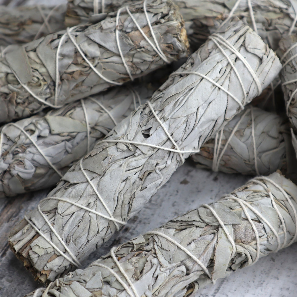 White Sage Cleansing Wand | Medium | 15cm | Purification &amp; Energy Clearing
