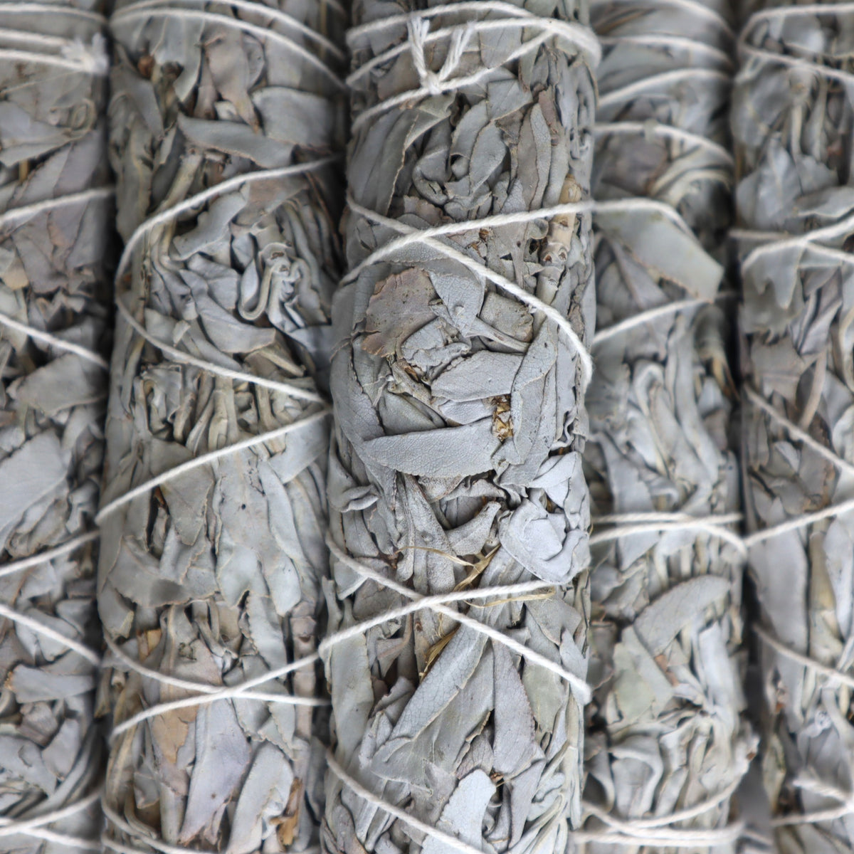White Sage Cleansing Wand | Medium | 15cm | Purification &amp; Energy Clearing