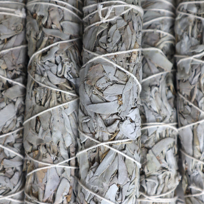 White Sage Cleansing Wand | Medium | 15cm | Purification & Energy Clearing