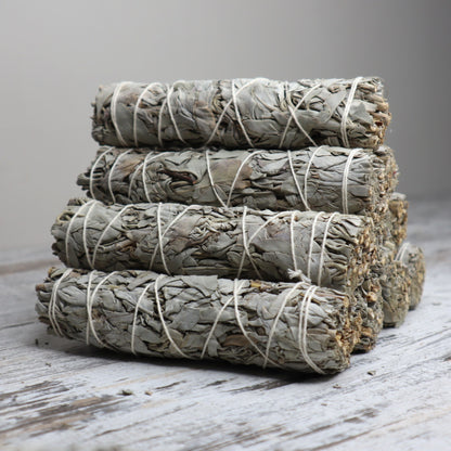 White Sage Cleansing Wand | Medium | 15cm | Purification & Energy Clearing