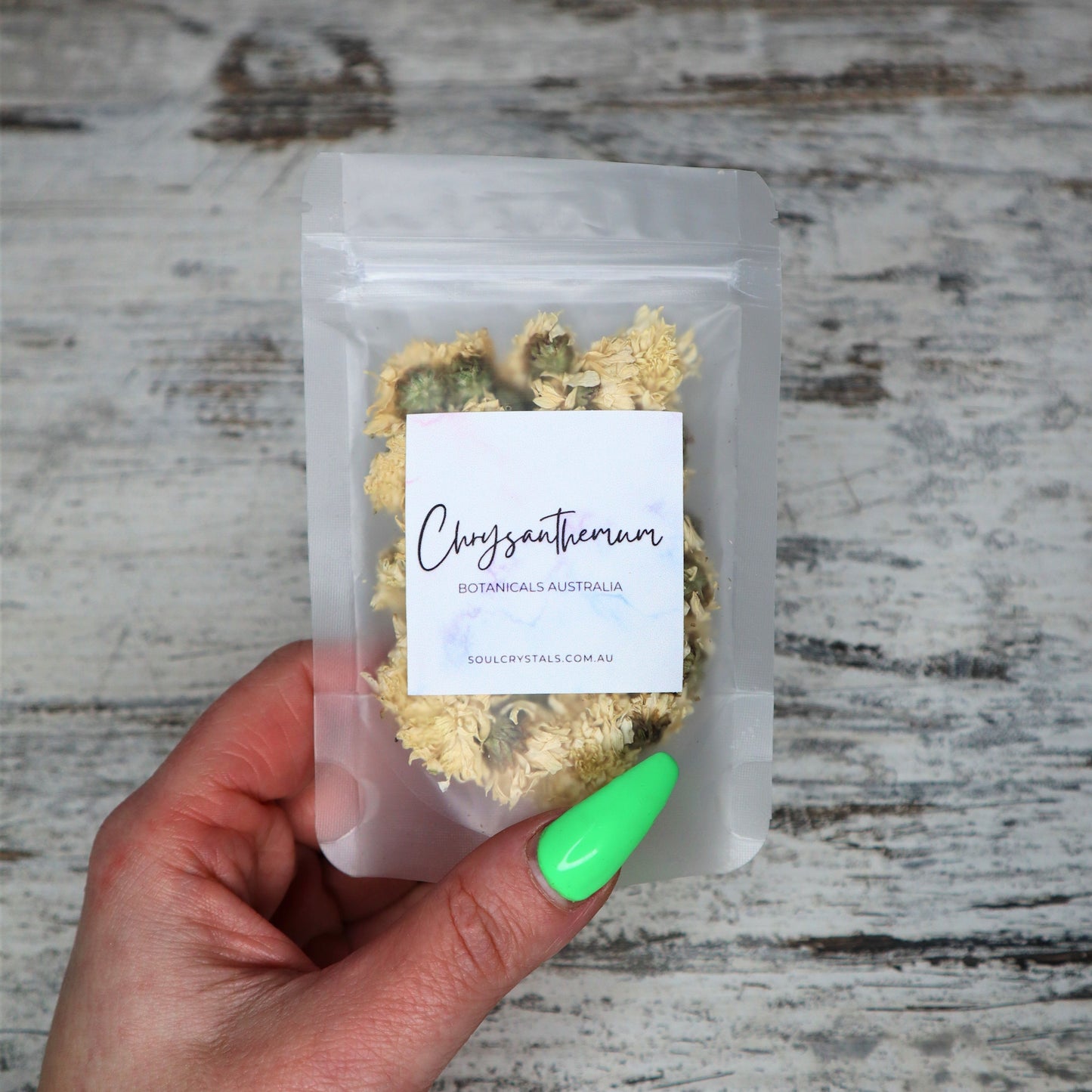 Chrysanthemum Flowers