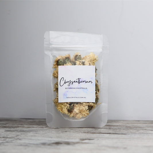 Chrysanthemum Flowers