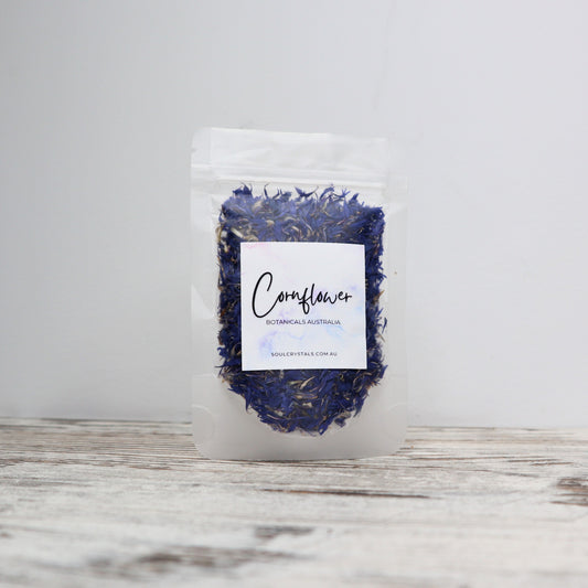 Cornflower
