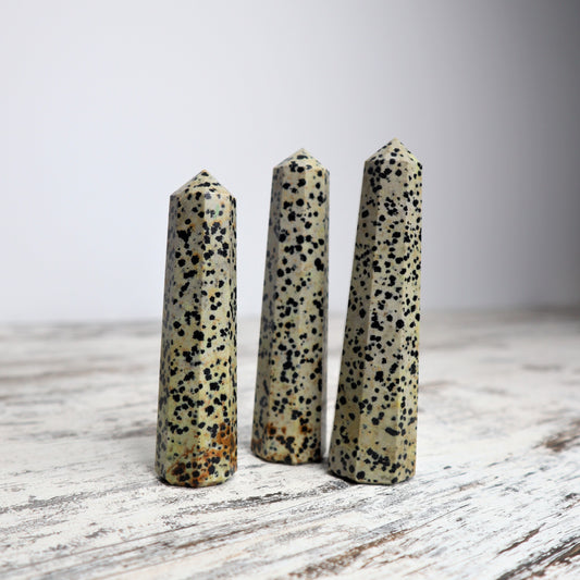 Dalmatian Jasper Point