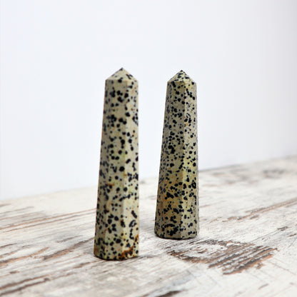 Dalmatian Jasper Point