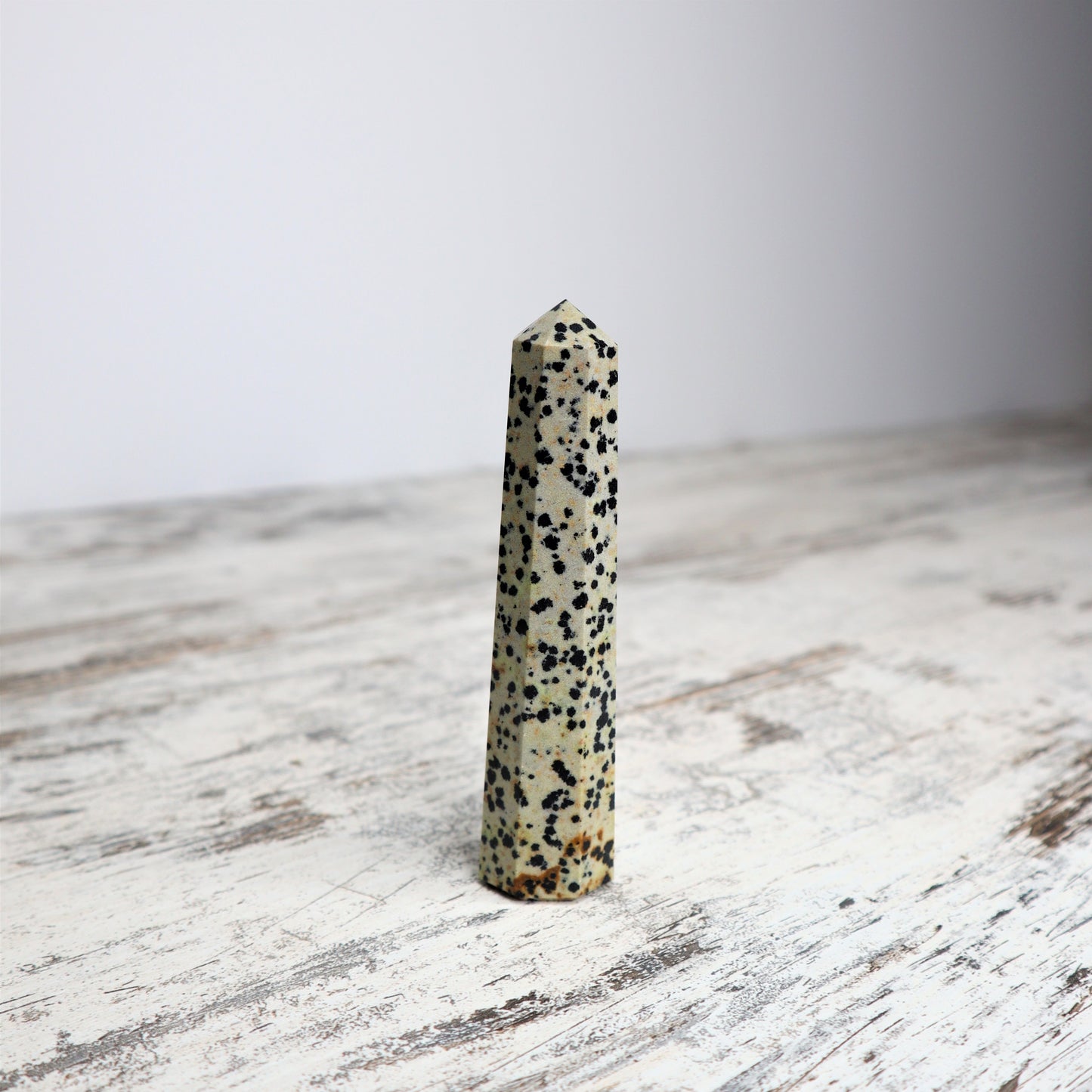 Dalmatian Jasper Point