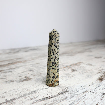 Dalmatian Jasper Point