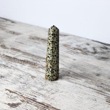 Dalmatian Jasper Point