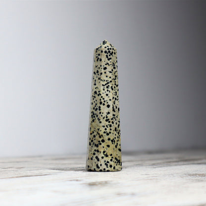 Dalmatian Jasper Point