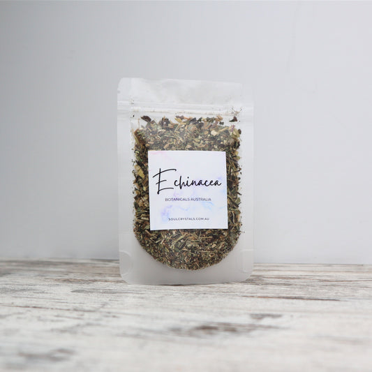 Echinacea