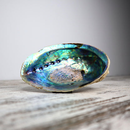 Raw Abalone Shell | Unpolished | Cleansing, Ocean Healing & Sacred Ritual