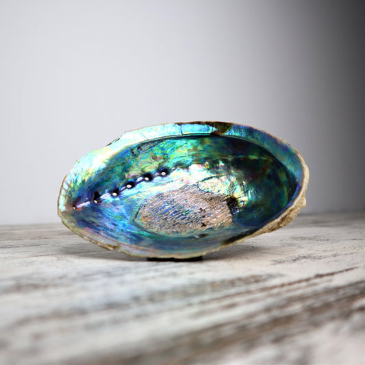 Raw Abalone Shell | Unpolished | Cleansing, Ocean Healing & Sacred Ritual