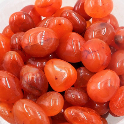 Carnelian Tumble | Courage, Confidence & Life-Force Energy ✨🔥