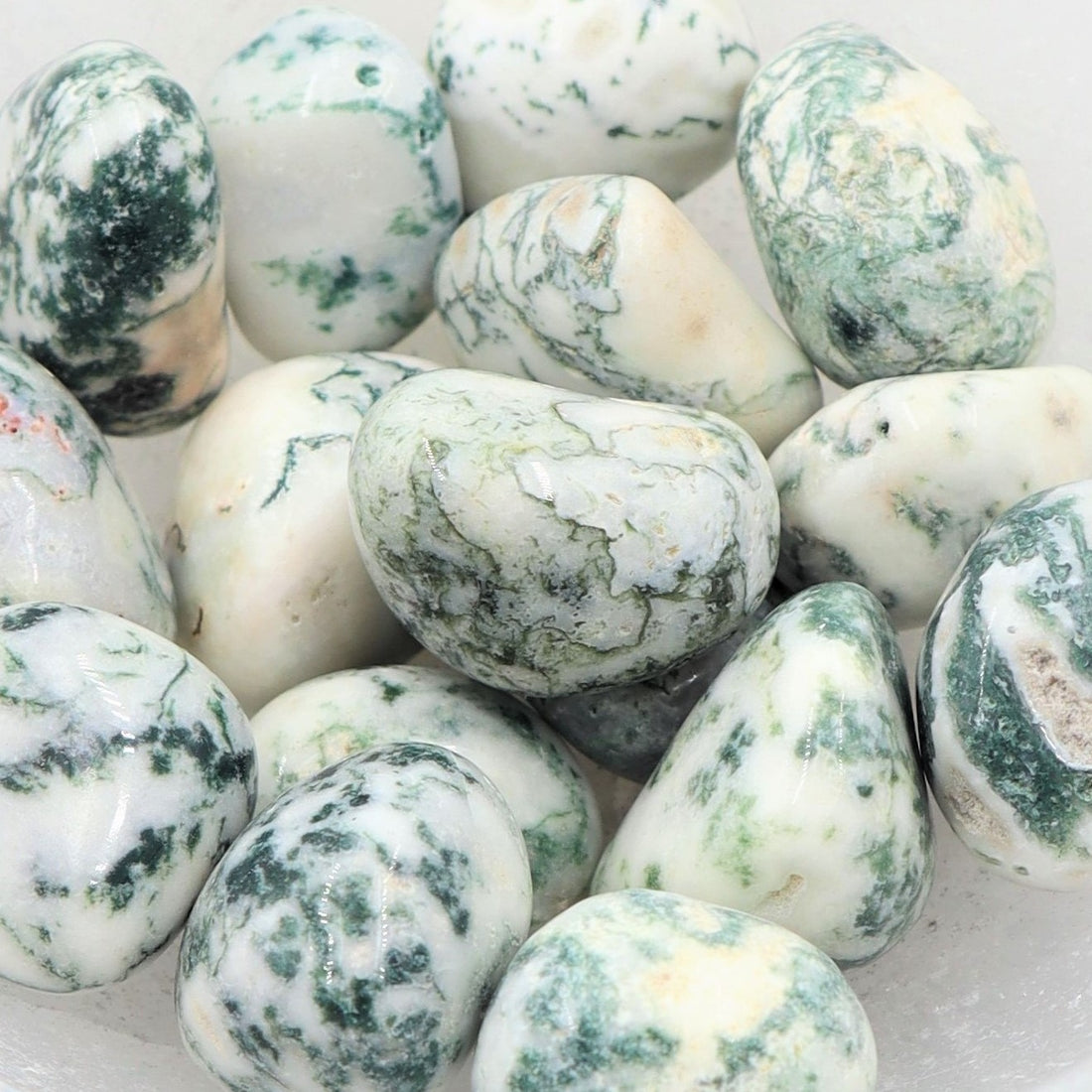 Tree Agate Tumble | Peace, Growth &amp; Nature’s Wisdom