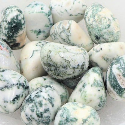 Tree Agate Tumble | Peace, Growth & Nature’s Wisdom