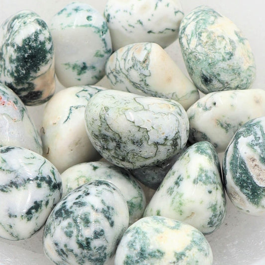 Tree Agate Tumble | Peace, Growth & Nature’s Wisdom
